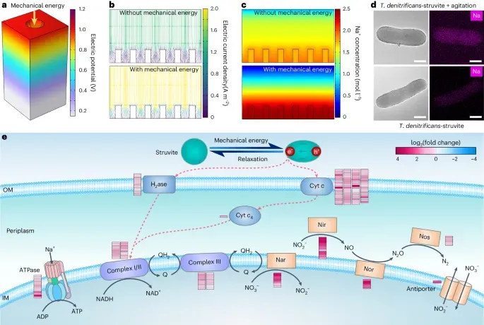 water filtering water filtering