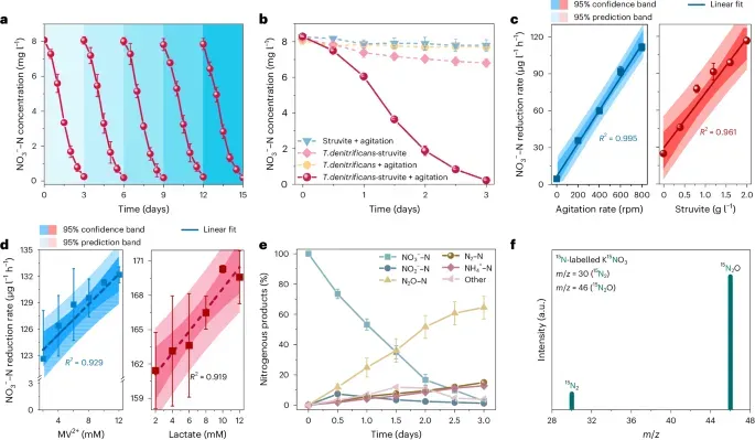 water filter water filter