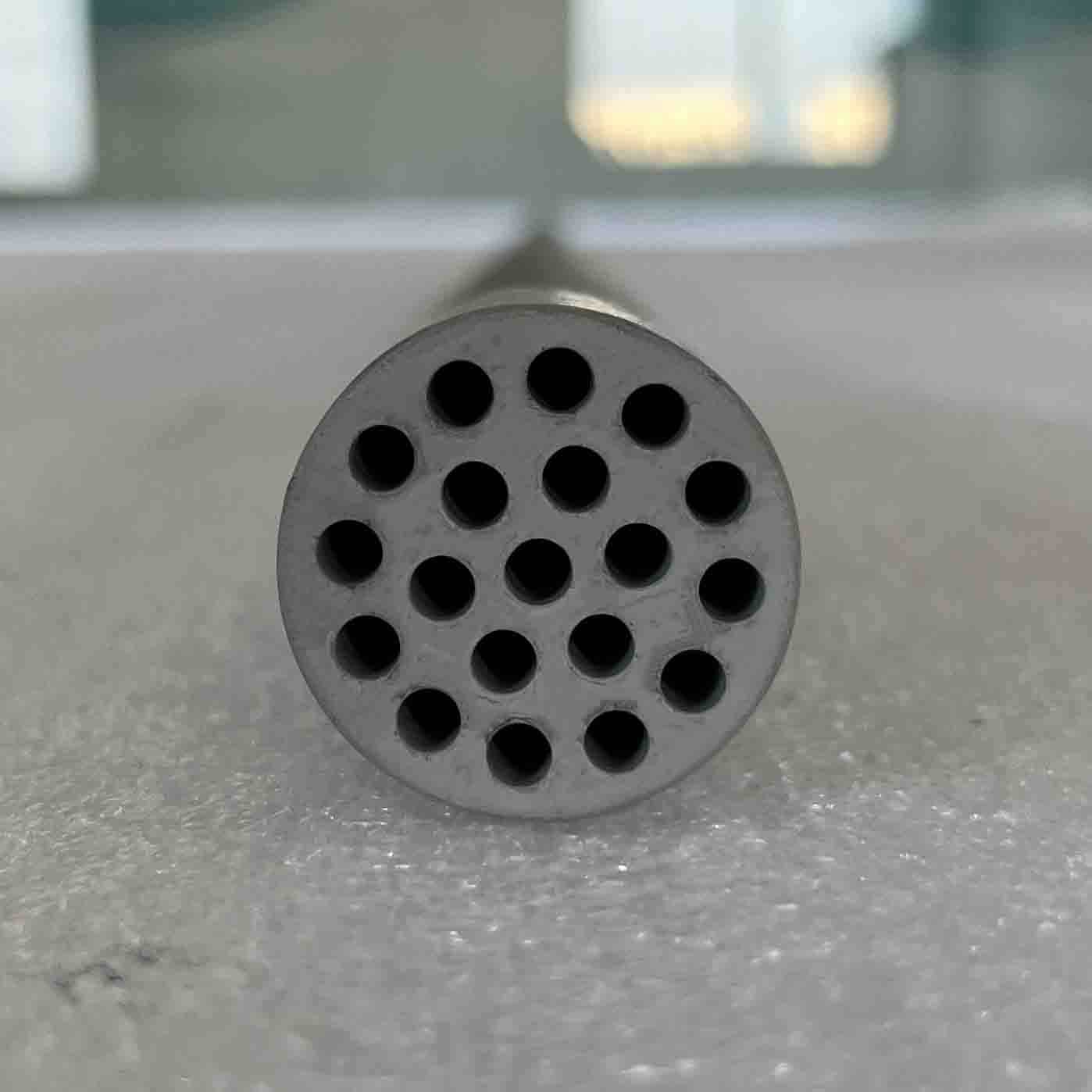 tubular membrane tubular membrane